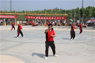 項(xiàng)城市鞭陀協(xié)會(huì)成立與項(xiàng)城網(wǎng)站建設(shè)